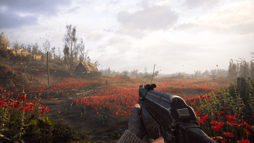 So vervollständigen Sie Mohnfelder in Stalker 2