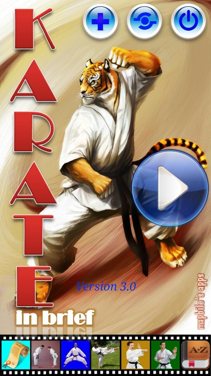 Karate in brief