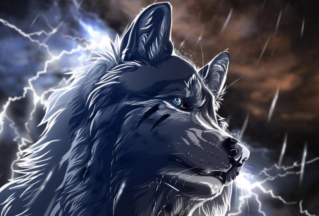 Wolf Anime Live Wallpaper