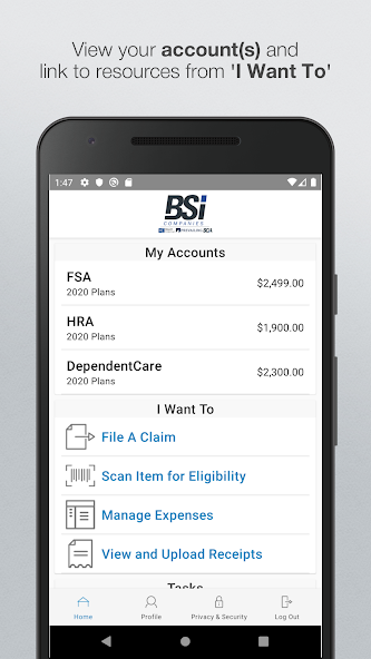 BSi Companies