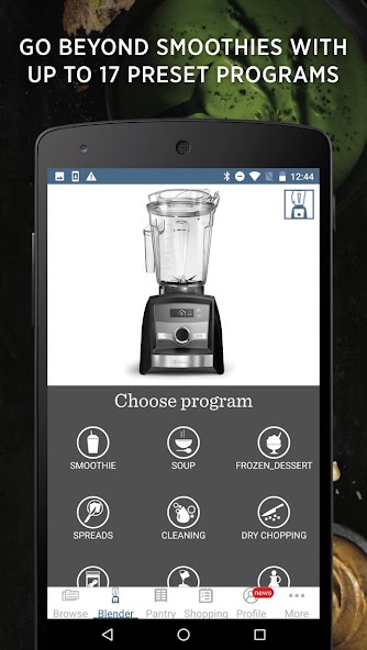 Vitamix Perfect Blend
