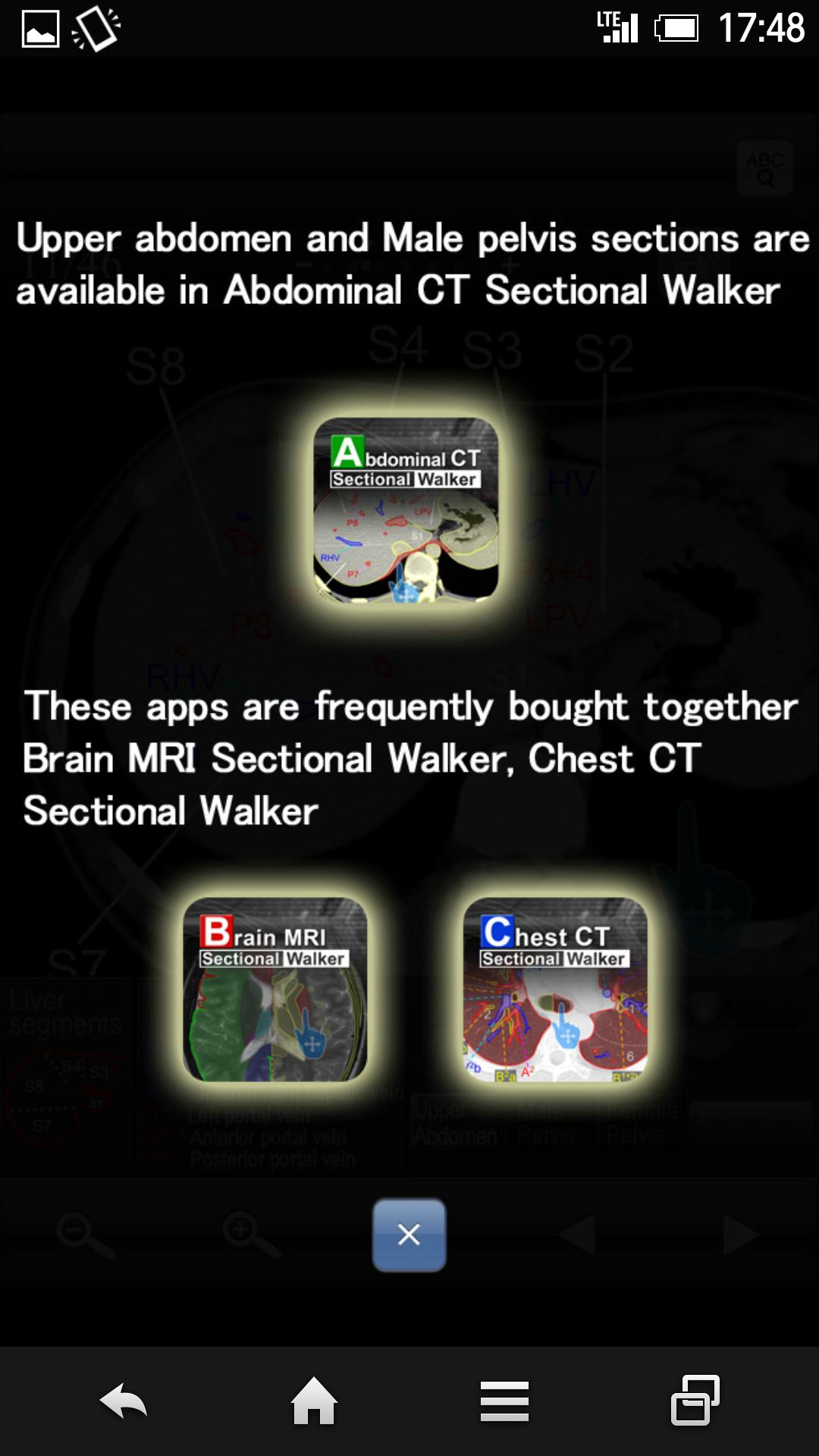 AbdominalCTSectionalWalkerLite