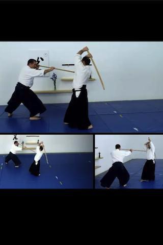 Aikido Weapons Free