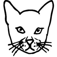 CatApp