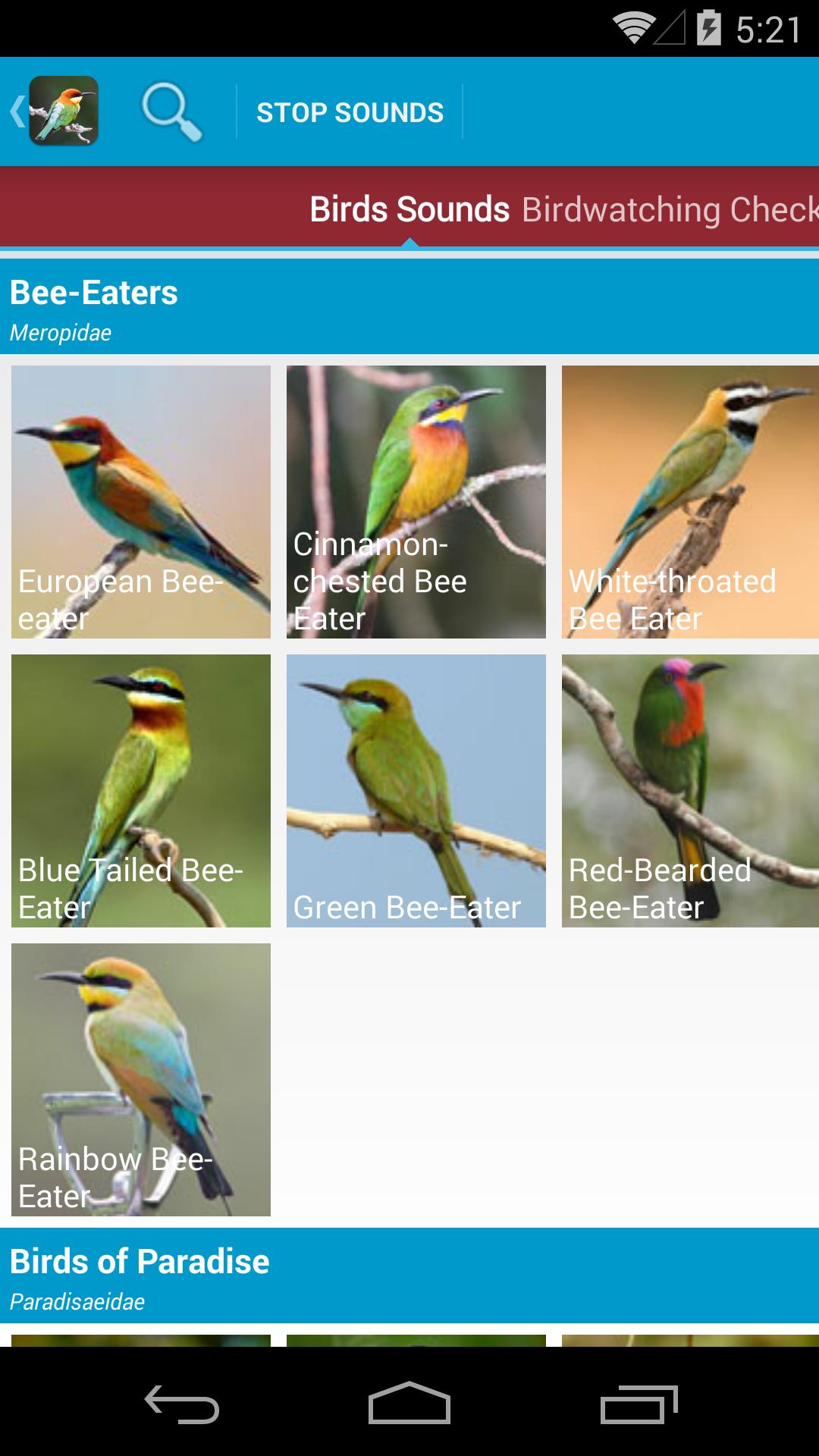 World Birds Sounds Free
