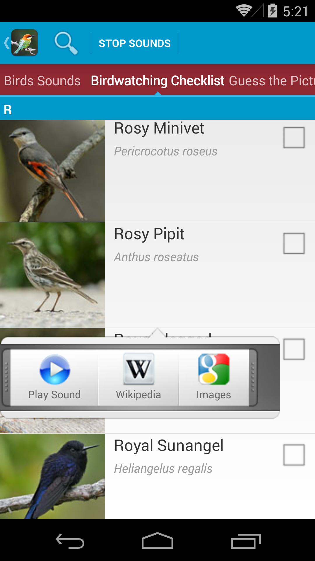 World Birds Sounds Free