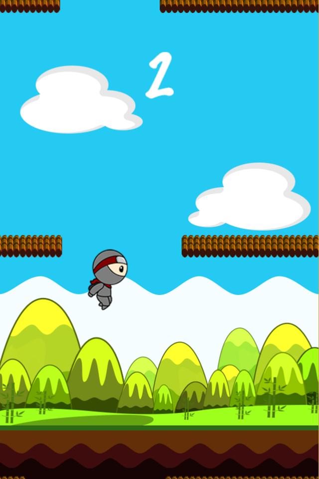 Zigzag Ninja