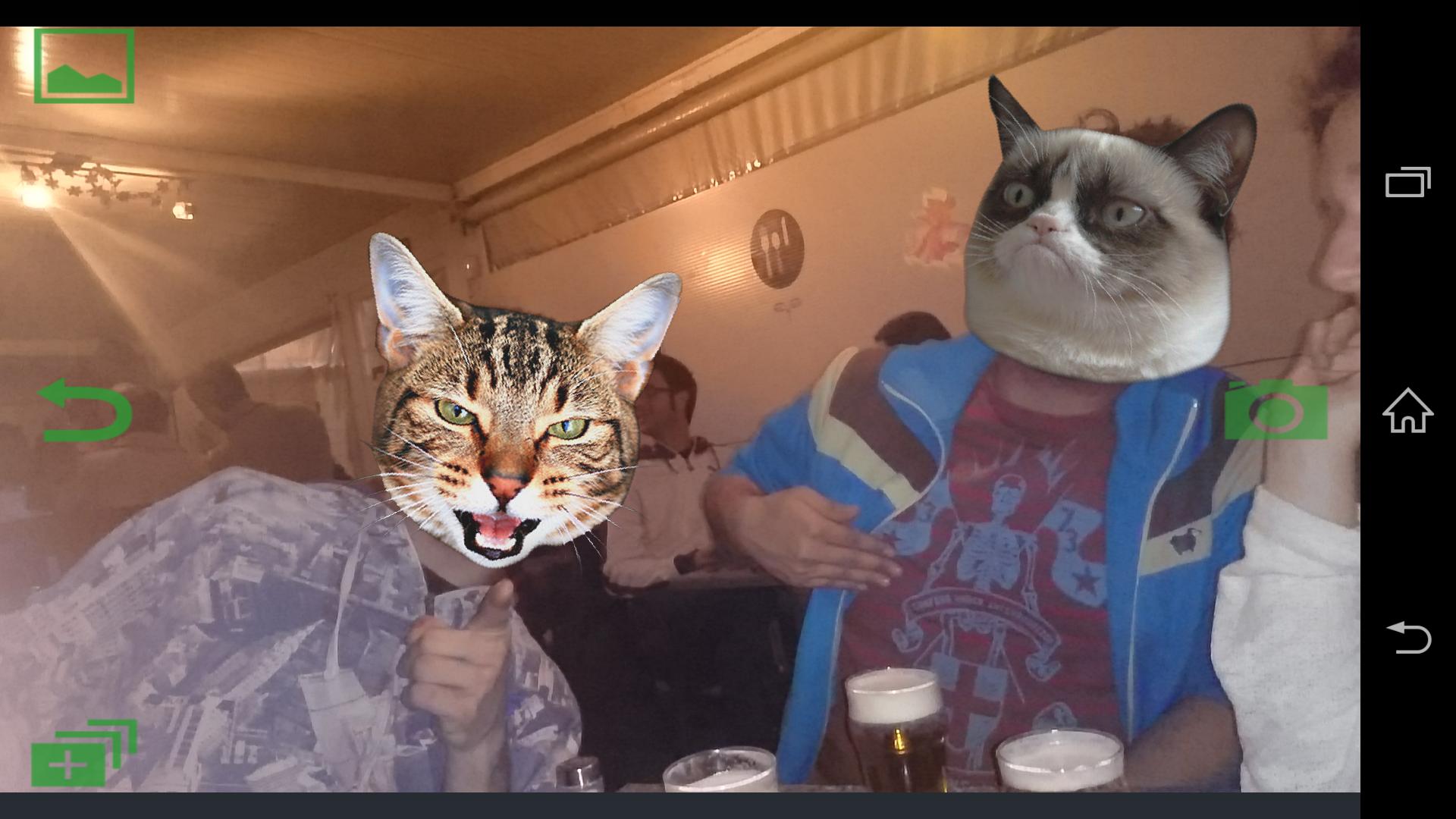 Kitty Cat Cam