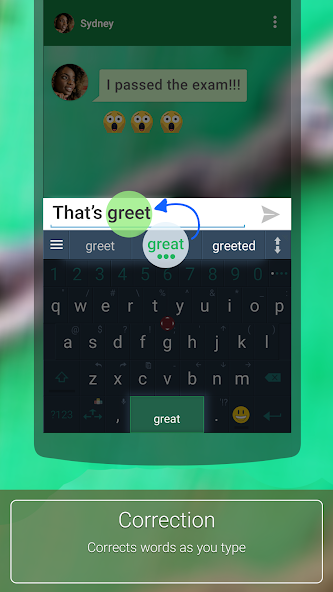 ai.type Croatian Dictionary