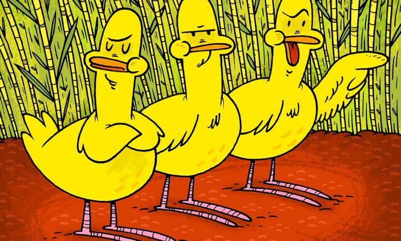 Ugly Duckling