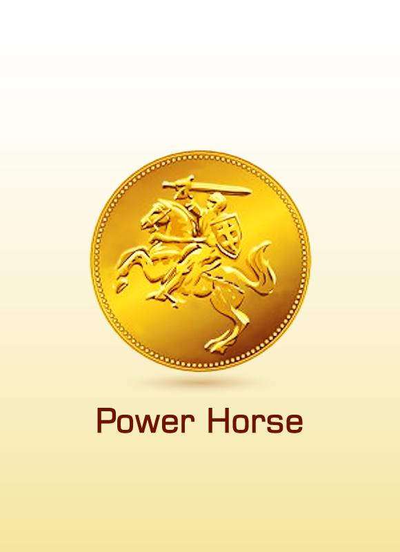 Power Horse