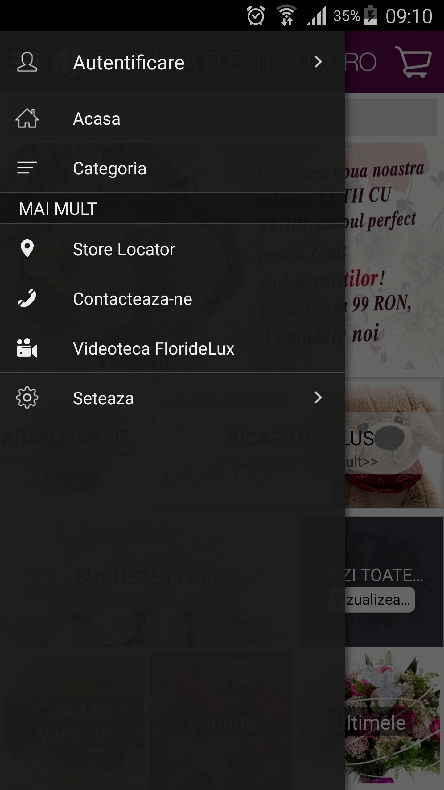 Floraria FlorideLux.ro