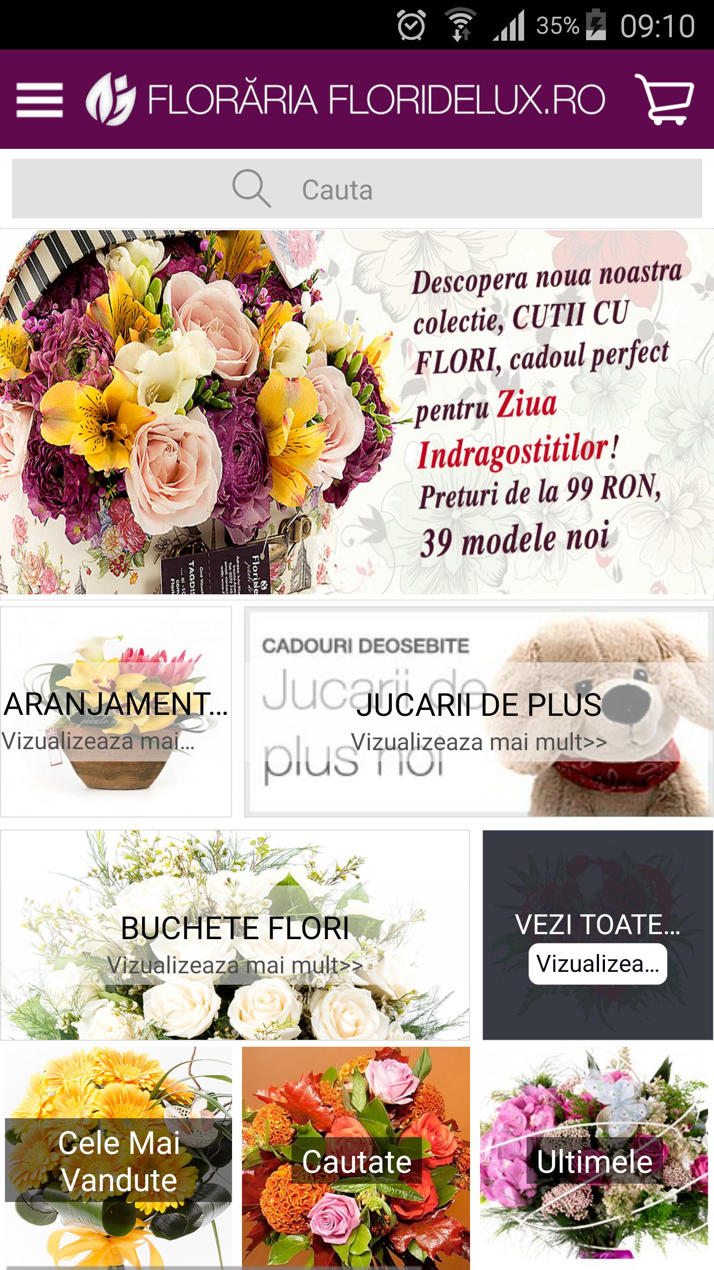 Floraria FlorideLux.ro