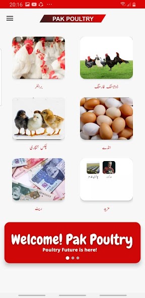 Pak Poultry