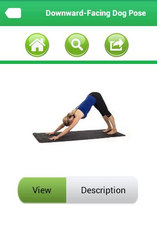Yoga for Baldness