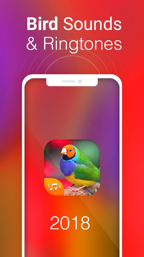 Bird Sounds & Bird Ringtones for Free 2018