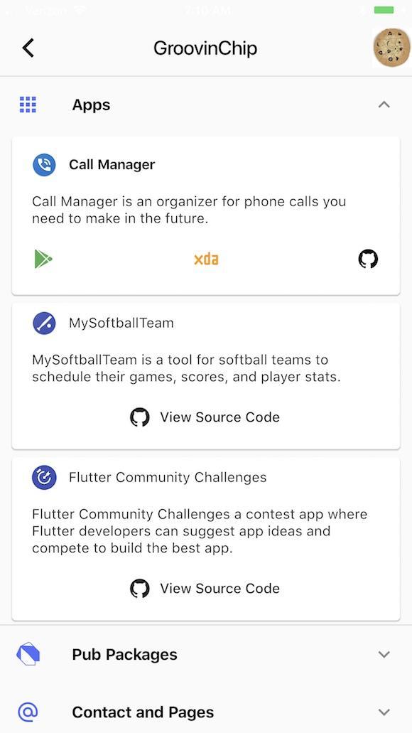 Flutter Developers