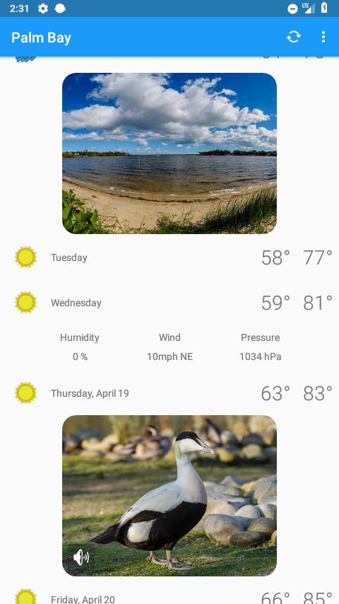 Palm Bay, FL -  weather and more