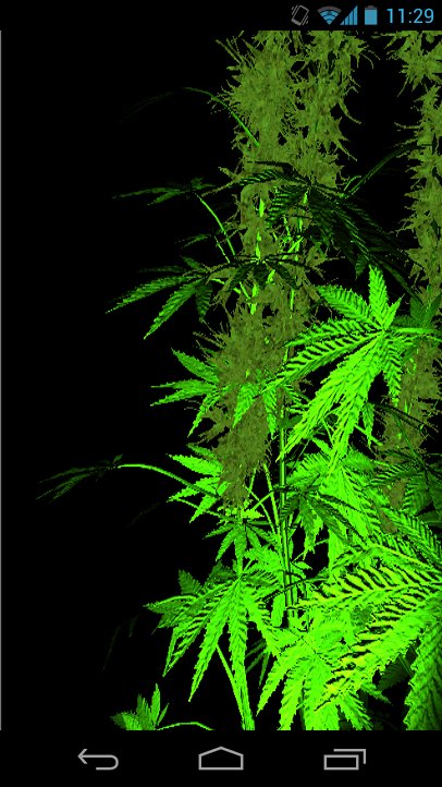 Weed 3D Live Wallpaper
