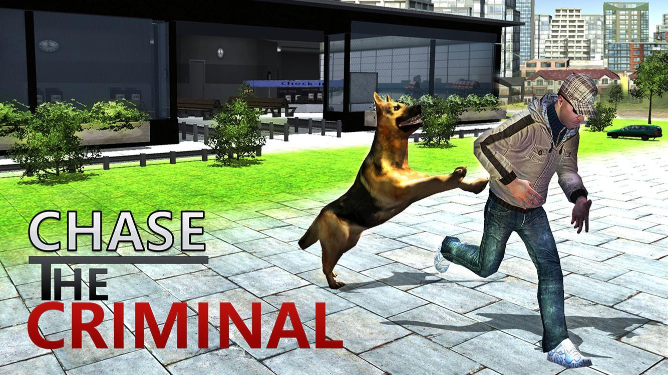 Airport Police Dog Crime Chase