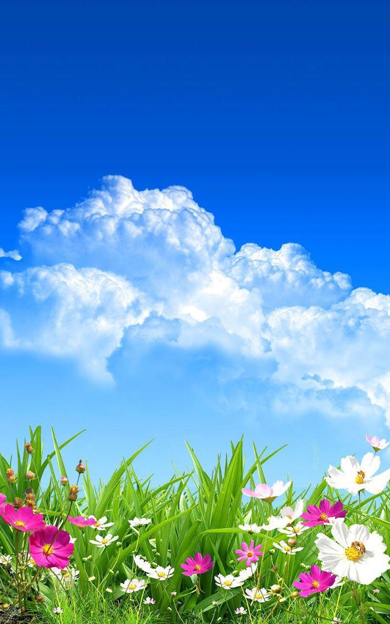 Flower Spring Live Wallpaper