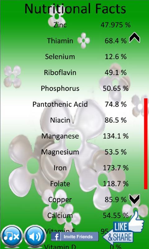 Vegetarian and Vegan Diet