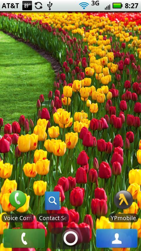 Free Flowers Collection