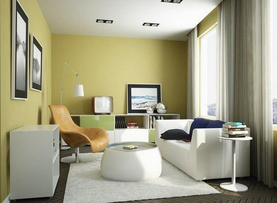 Design interior apartment