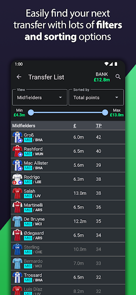 Fantasy Football Manager (FPL)