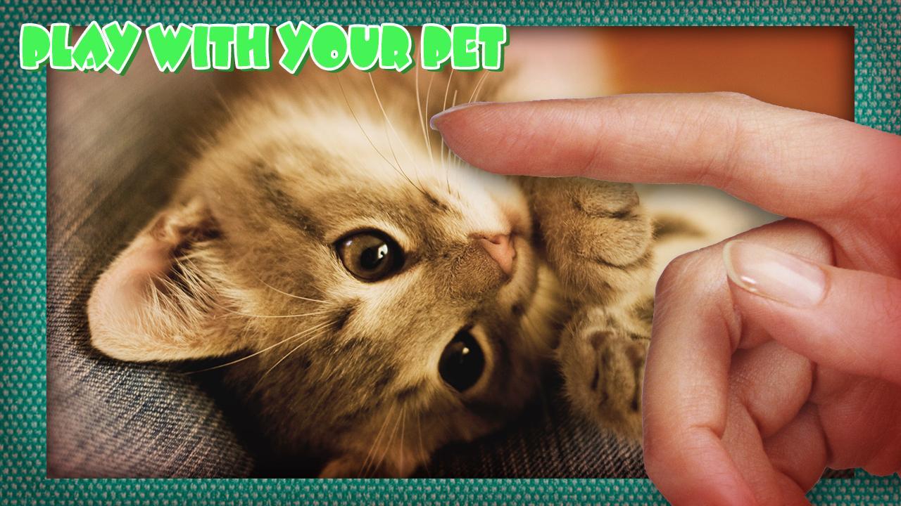 Pat The Relax Cat Simulator