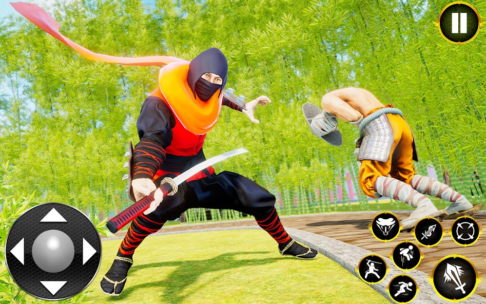 Ninja Warrior Assassin Hero