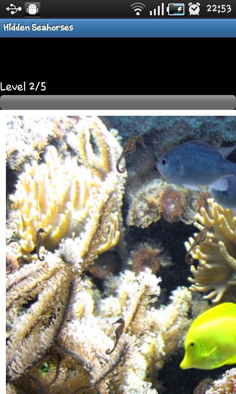 Hidden Object Games-Seahorses