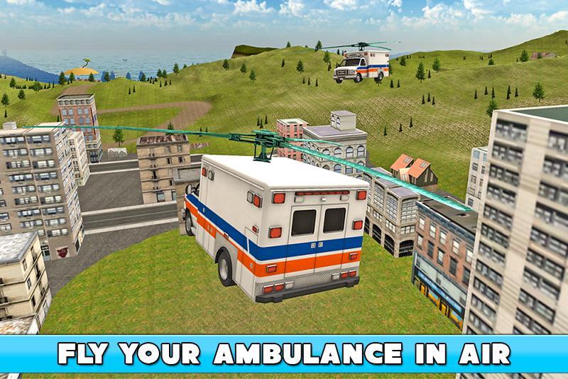 Flying Ambulance Doctor