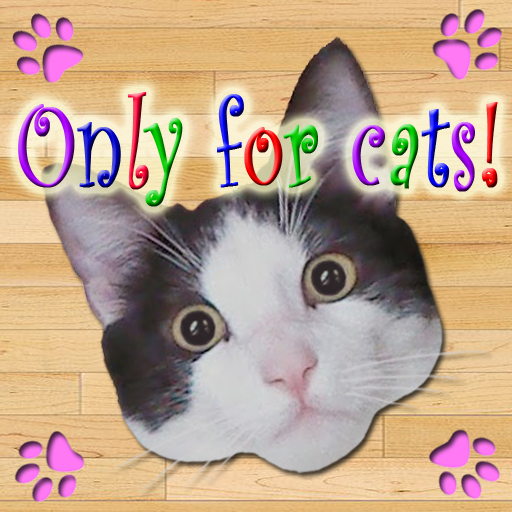 Only for Cats