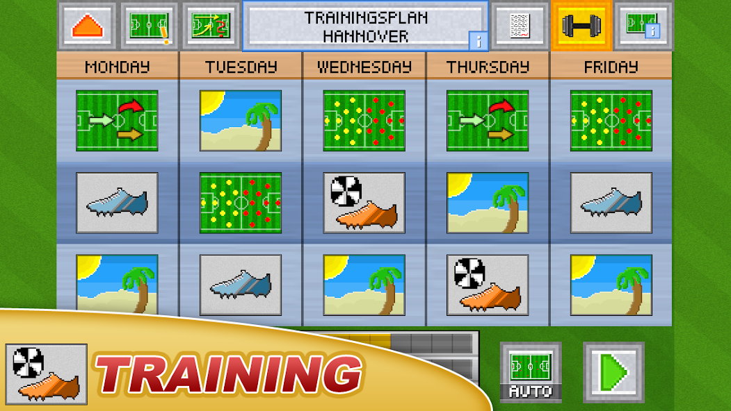 Soccer Pocket Manager