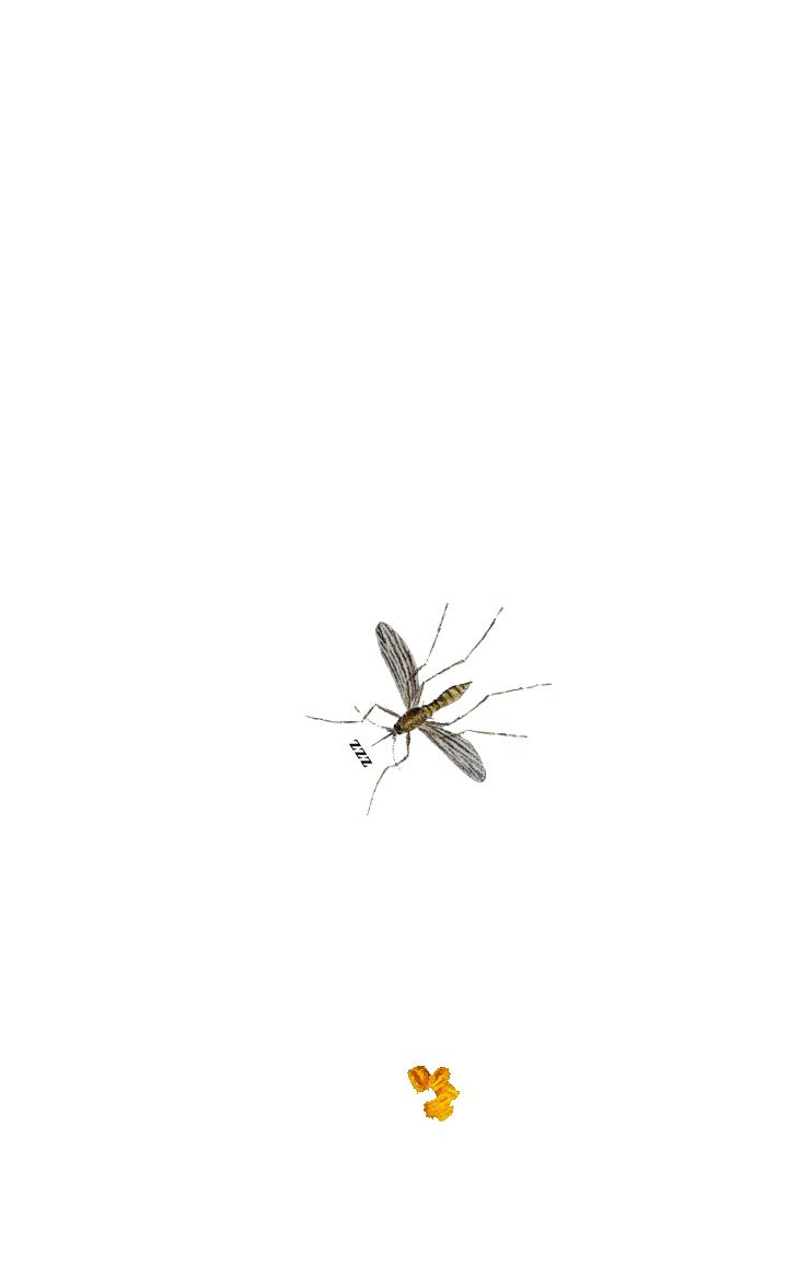 Mosquito simulator
