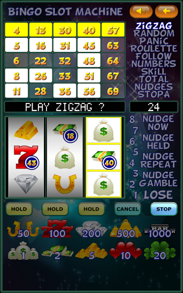Bingo Slot Machine.